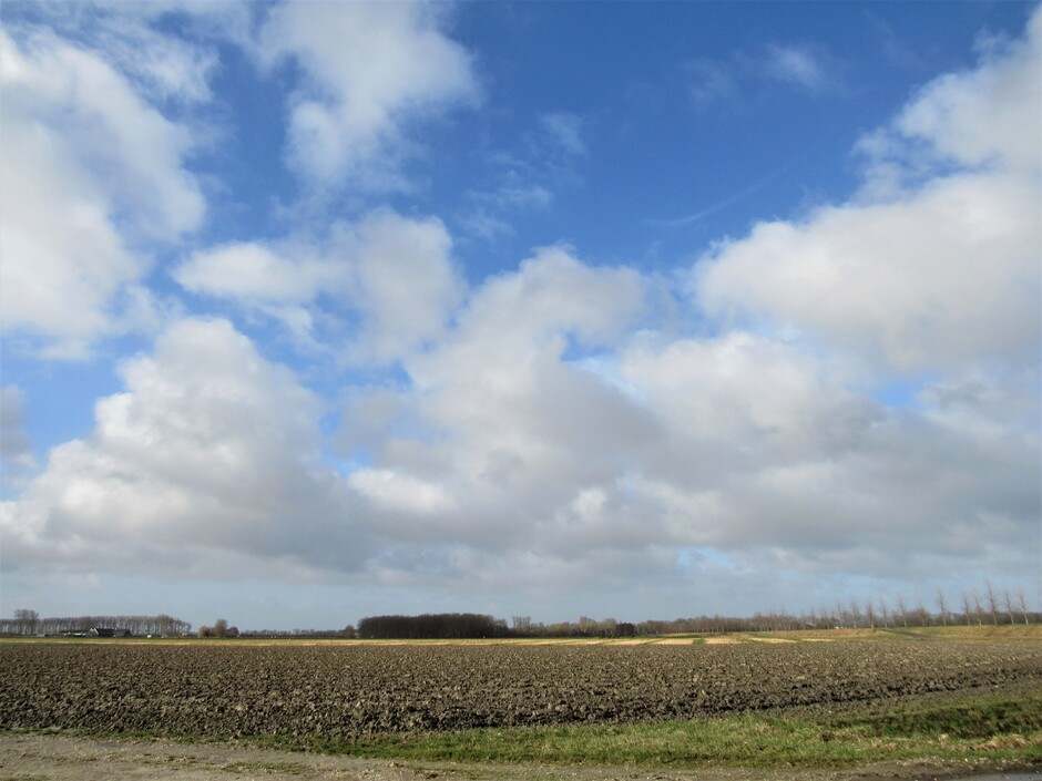 Hollandse luchten met veel wind en zon, vanmorgen in Kortgene, Zeeland