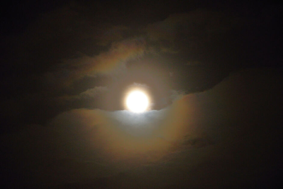 Hap uit de kring om de Volle Maan, 5 februari, Colijnsplaat (Zeeland)