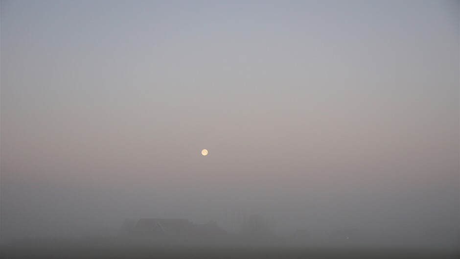 dichte mist 2 gr vanmorgen volle maan te zien