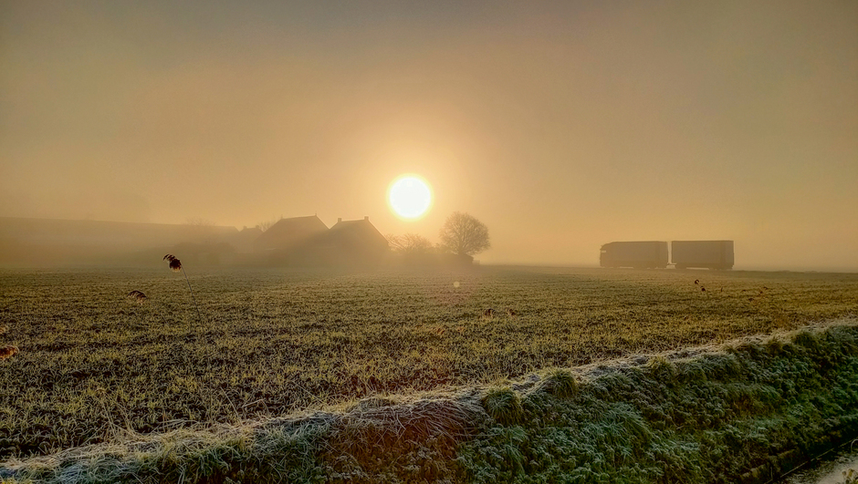 Mist en zonsopkomst met berijpt land in polder