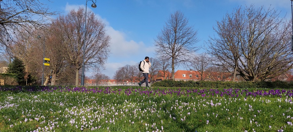 Voorjaar in Haarlem