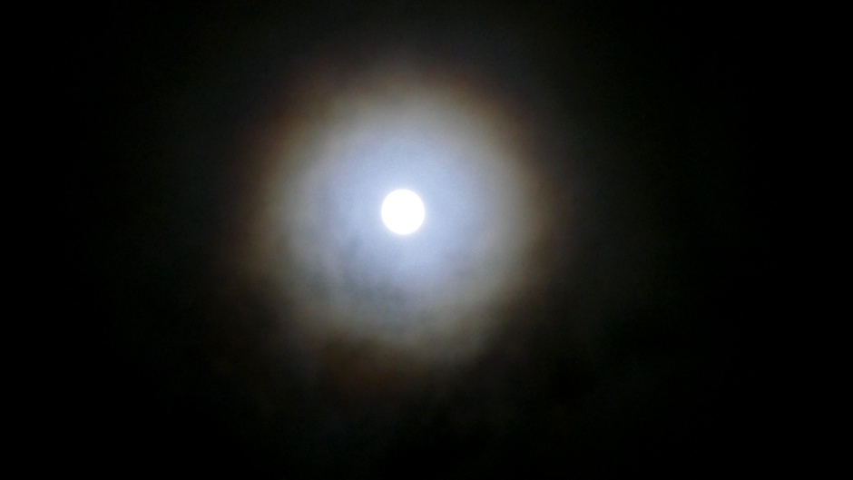 98% Maan met corona afgelopen nacht 