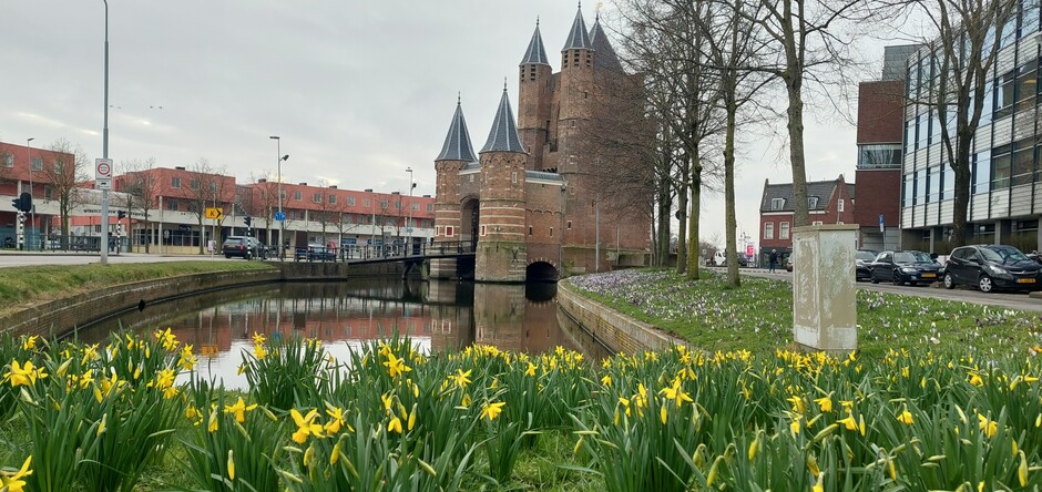 Voorjaar voor de deur in Haarlem.