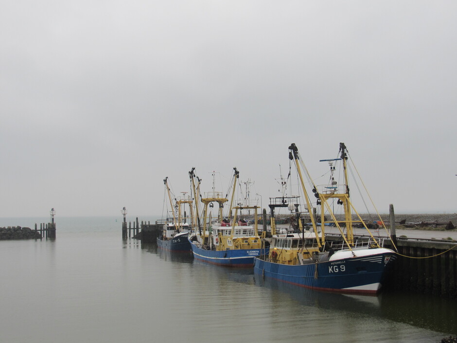 Toch nog wat kleur kunnen vinden van deze visserskotters in de Oude-Haven, het is een regenachtige grijze ochtend in Colijnsplaat, Zeeland