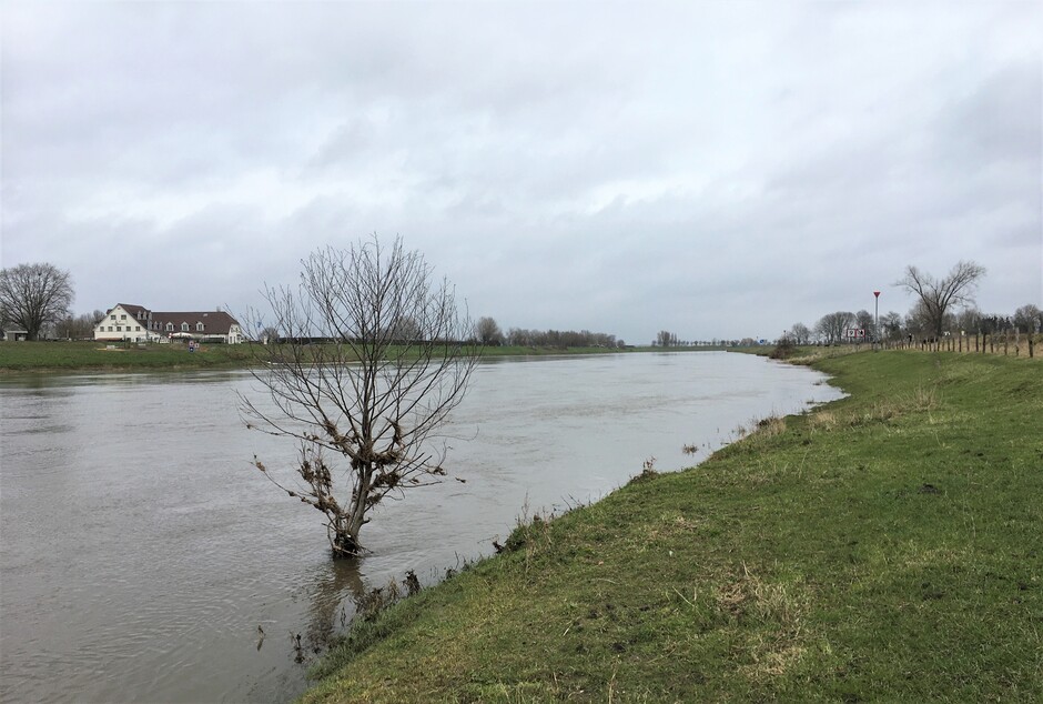 Hoog water Maas, regenrivier.