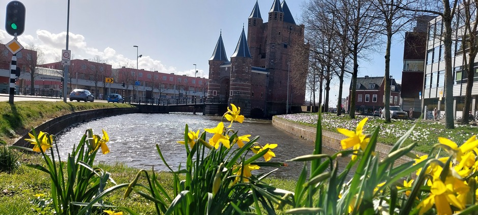 voorjaar in Haarlem bij Amsterdamse poort