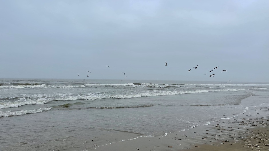 Grijs weer strand Noordwijk