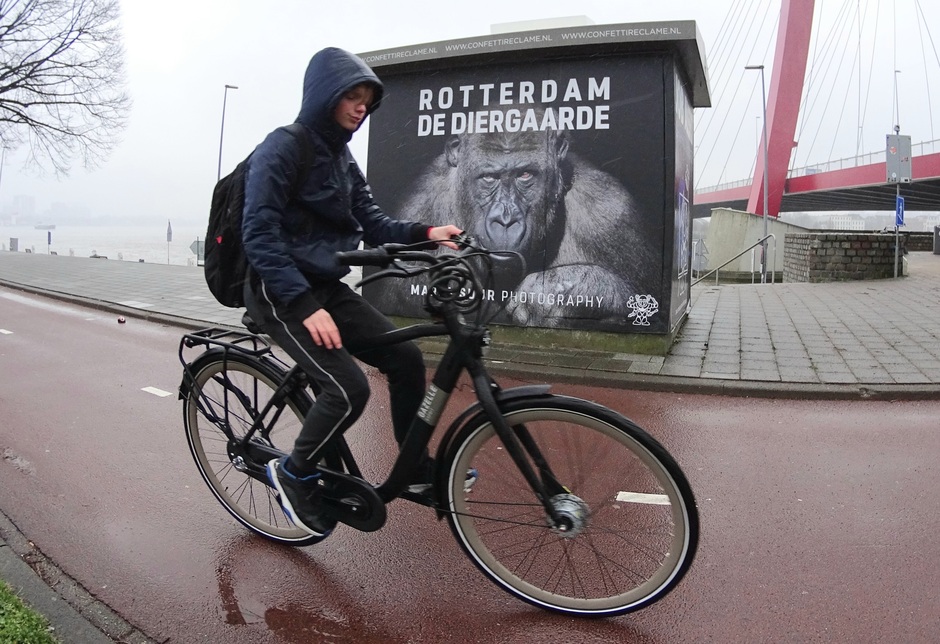 Regen in Rotterdam