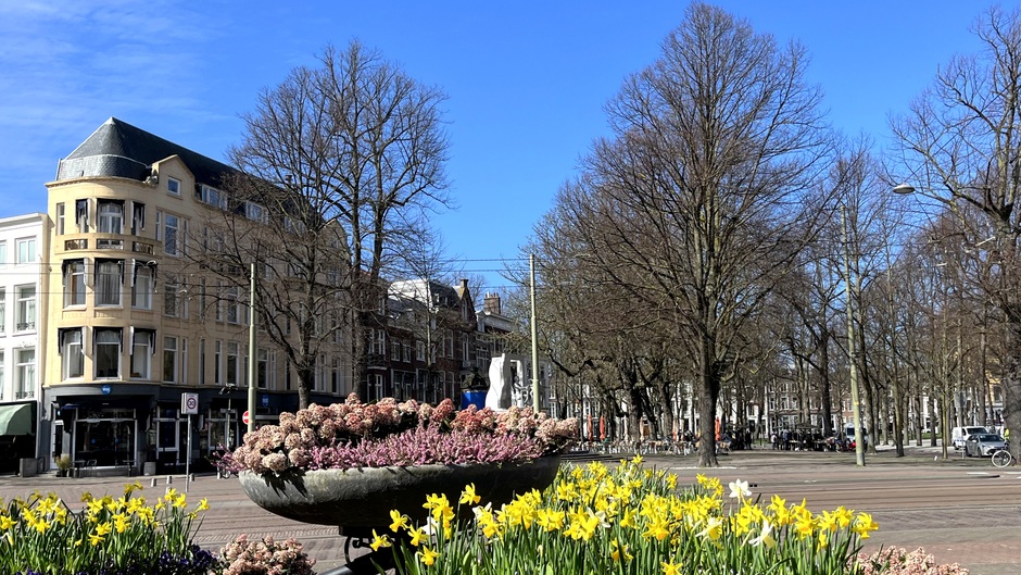 Voorjaar in Den Haag