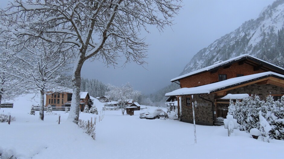Alpen: winters