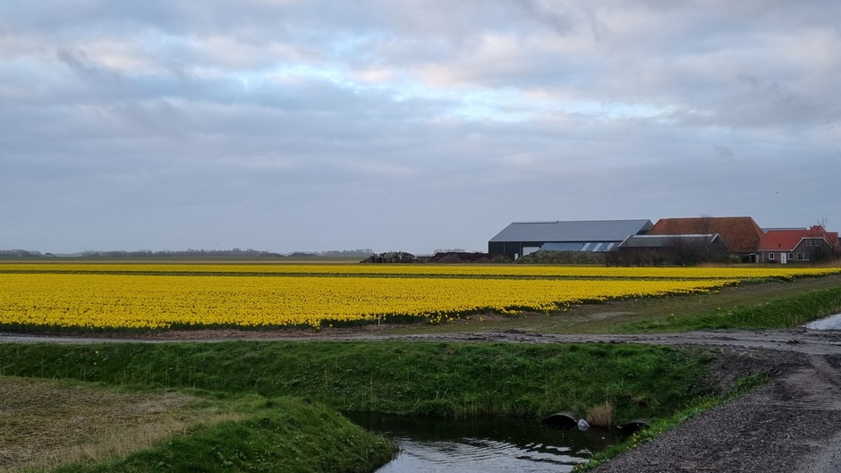 Geen lenteweer maar wel lentegevoel op Texel