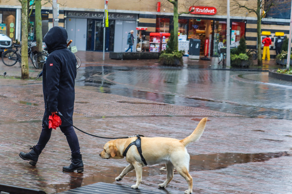 Hond en baasje trotseren de regen 