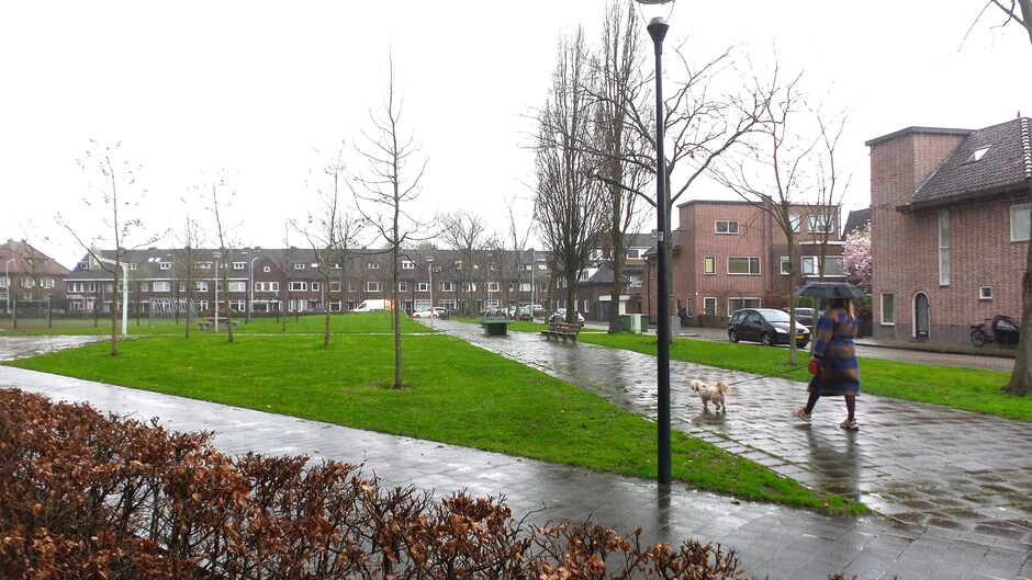 Droog naar de weekmarkt, maar na het middaguur gestaag regenval in Breda bij 12 graden.