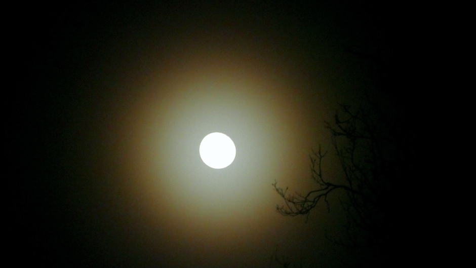 Maan corona vannacht, veel vocht in de lucht 