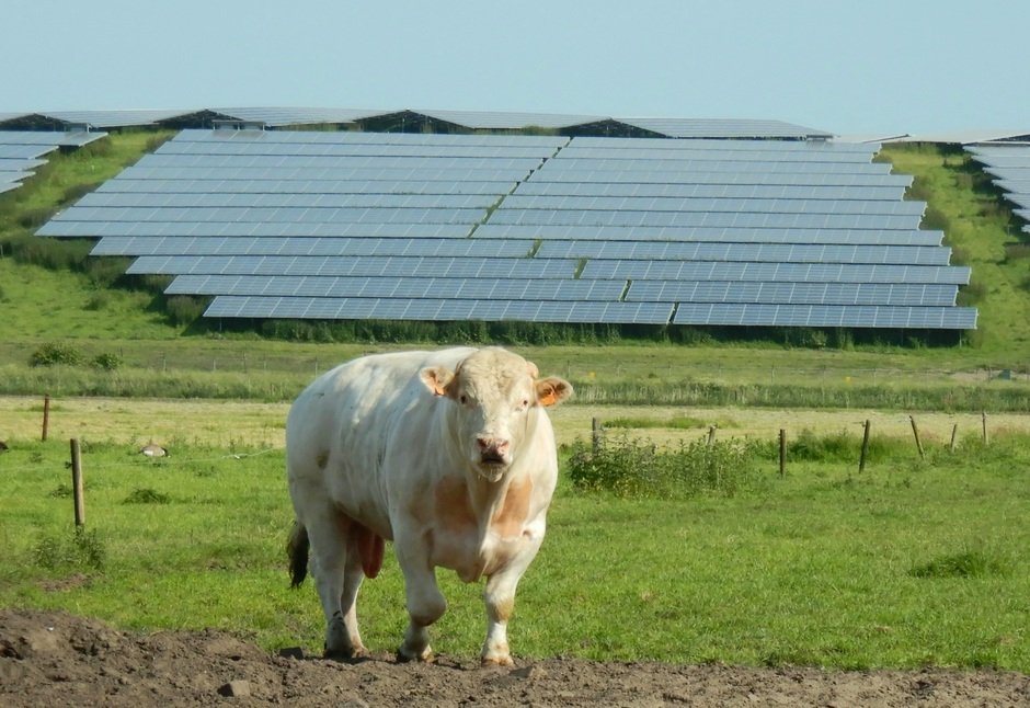Zonnepanelen leveren zonne-energie.