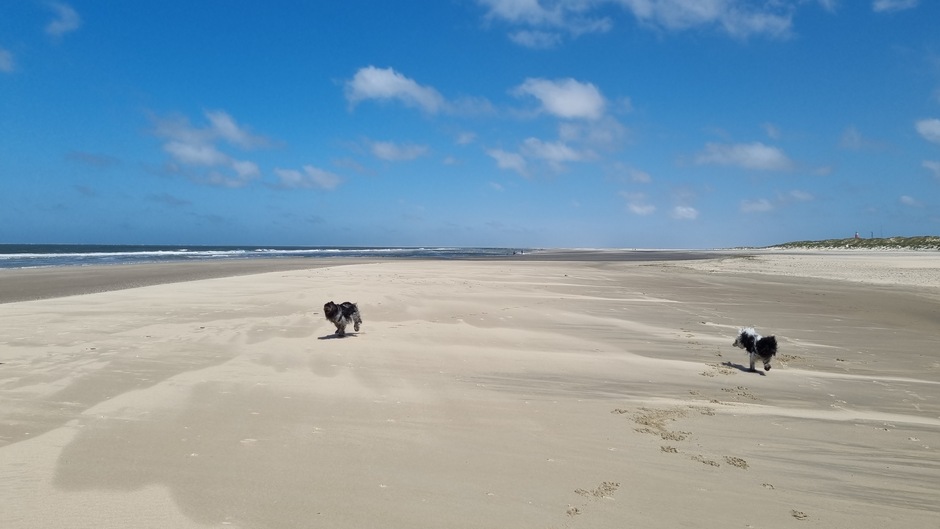 Spelen op het strand op Texel