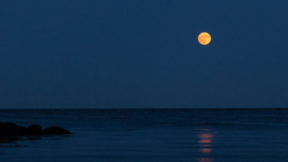 De maan schijnt over de Waddenzee