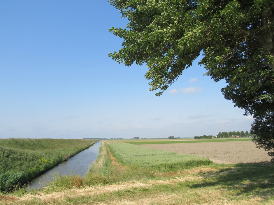 Geersdijk, de polder vanmorgen, een zonnige dag wederom