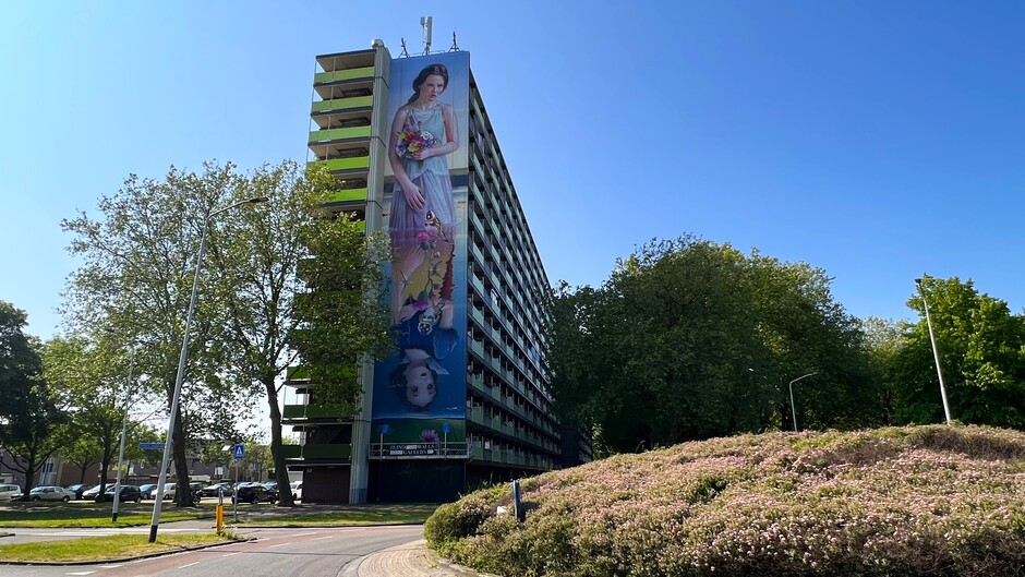 'n Prachtige muurschildering onder een strakblauwe lucht in Breda.