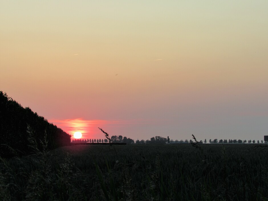 Zonsondergang in de polder