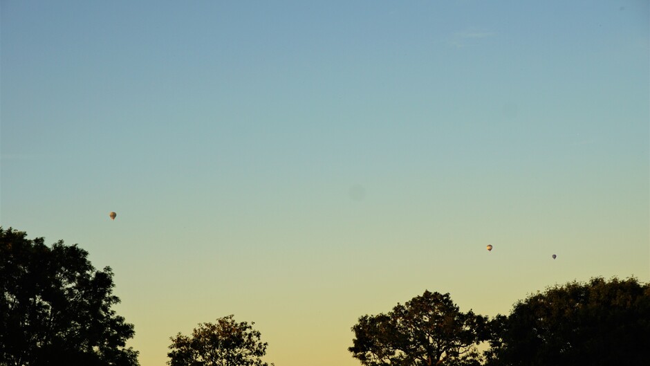 zon blauwe lucht 24 gr 3 luchtballonnen