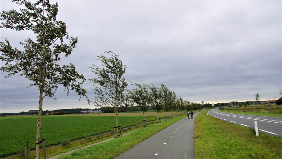 bewolkt weer stevige wind 18 gr zie bomen fietsers