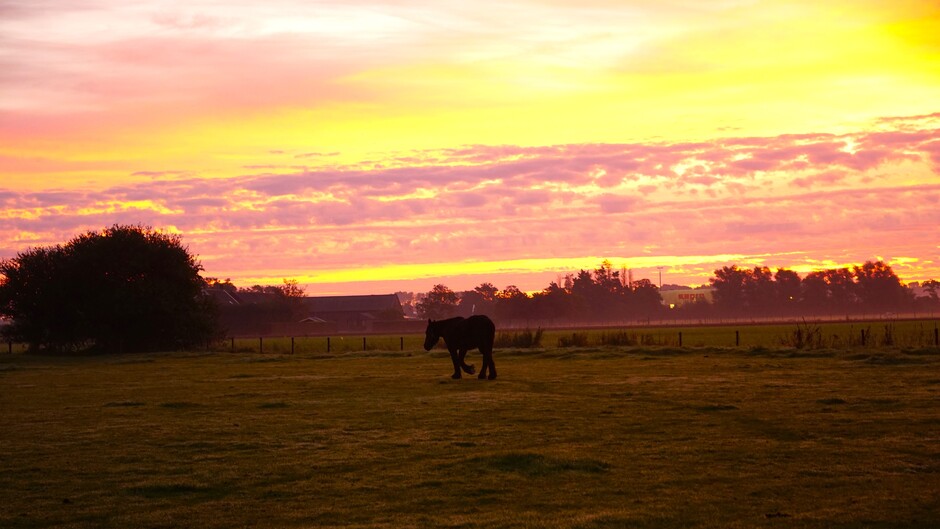 mooie zonsopkomst rood geel en wolkjes 14 gr in de paarden wei
