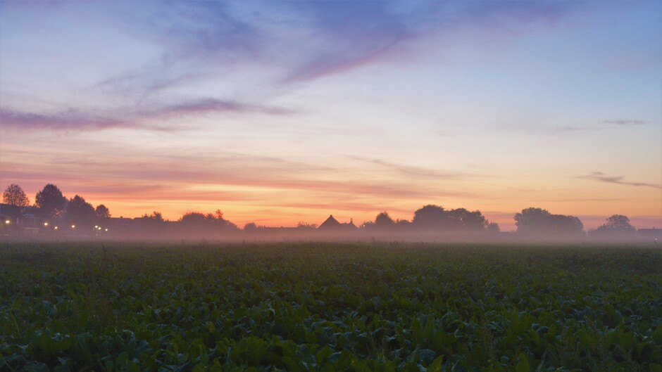 Sluierwolken en mist tijdens ochtendgloren