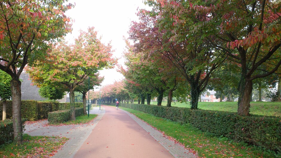 Prachtige herfstkleuren langs de fietspaden 
