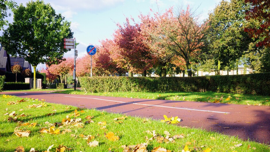 Herfstkleuren en herfstbladeren langs de fietspaden 