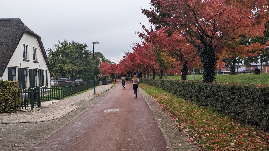 Grijs weer en prachtige herfstkleuren langs de fietspaden 