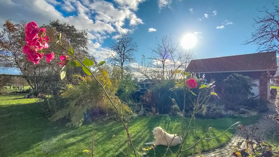 Zo genieten in de tuin met die zon