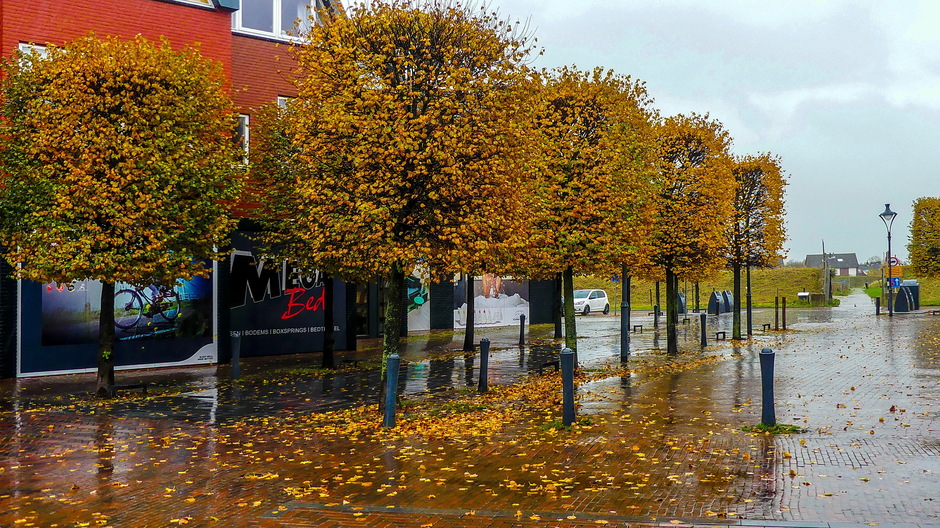 Bewolkt en regenachtig  natte straten afgevallen herfstbladeren