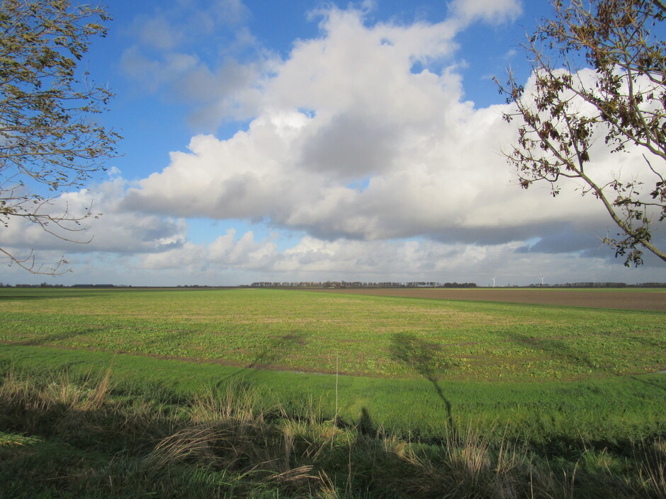 Wind, zon en wolken in de polder 
