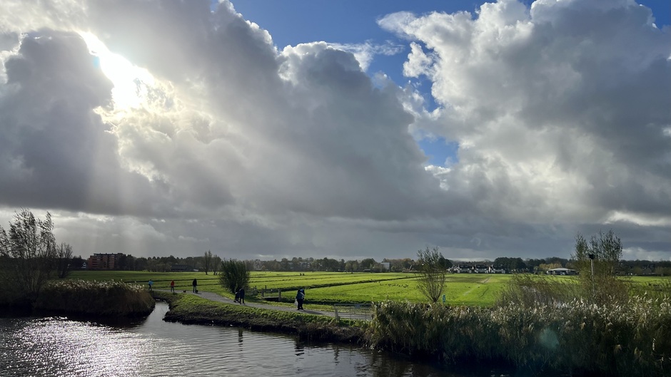 Het zonlicht wordt uitgegoten over de groene natte polders