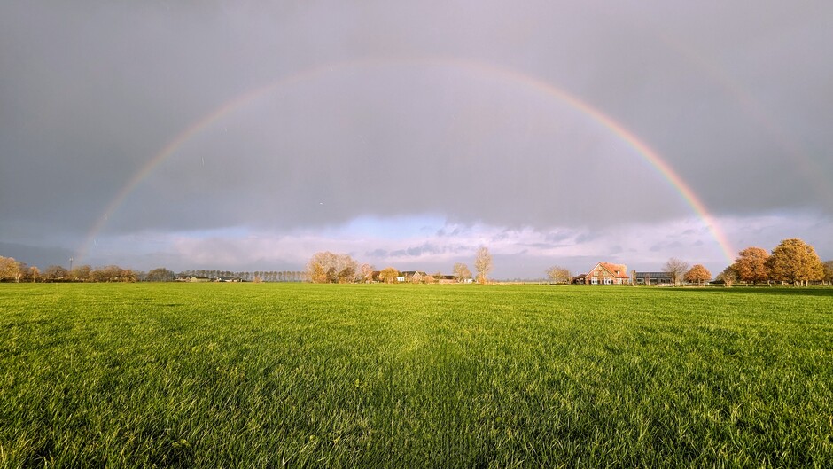 Schitterende felle regenboog bij felle winterse bui in Midden-Nederland 