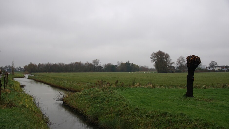 grijs en regenachtig weer in de polder 7 gr  volle sloten