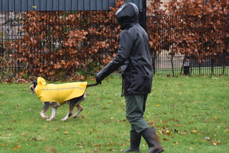 Man en hond in regenpak