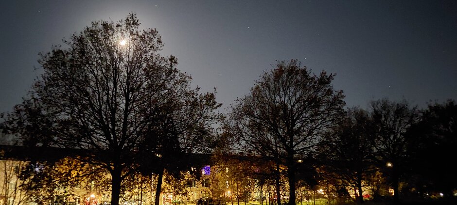 De maan schijnt door de bomen in Haarlem