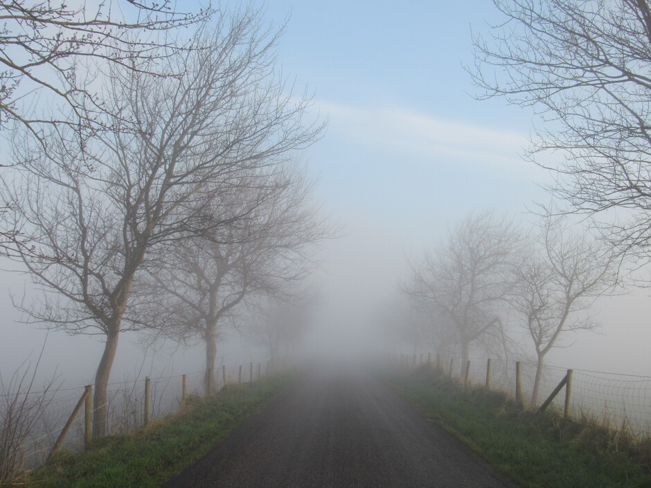 Mist in de polder
