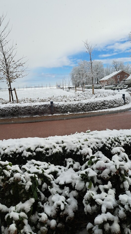 Sneeuwfoto Friesland
