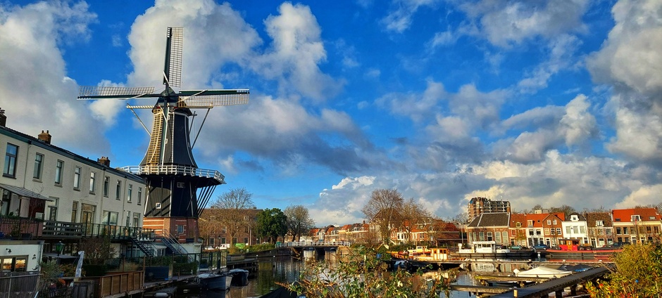 De Adriaan in de zon bij blauwe luchten in Haarlem