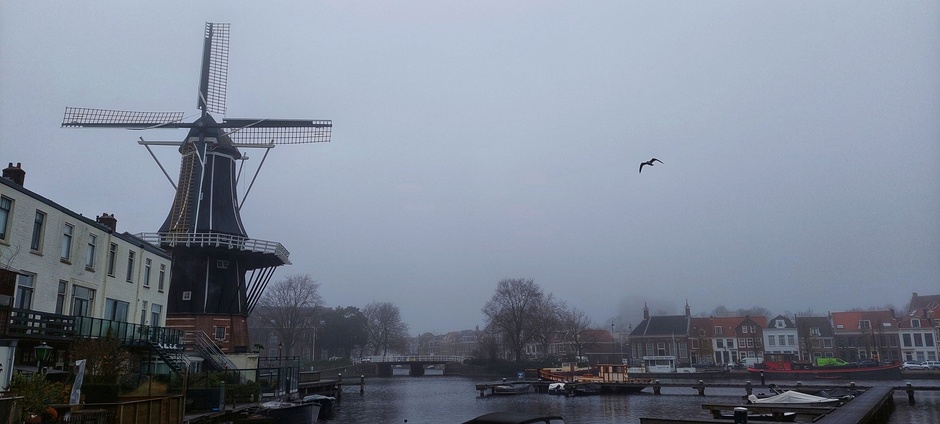 De Adriaan in de mist in Haarlem