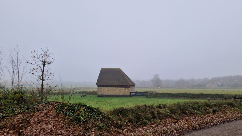 Schapenboet in de mist op Texel 