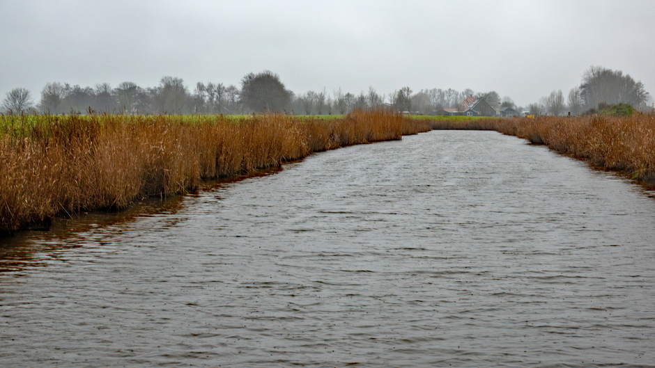 Hoog water in de polder