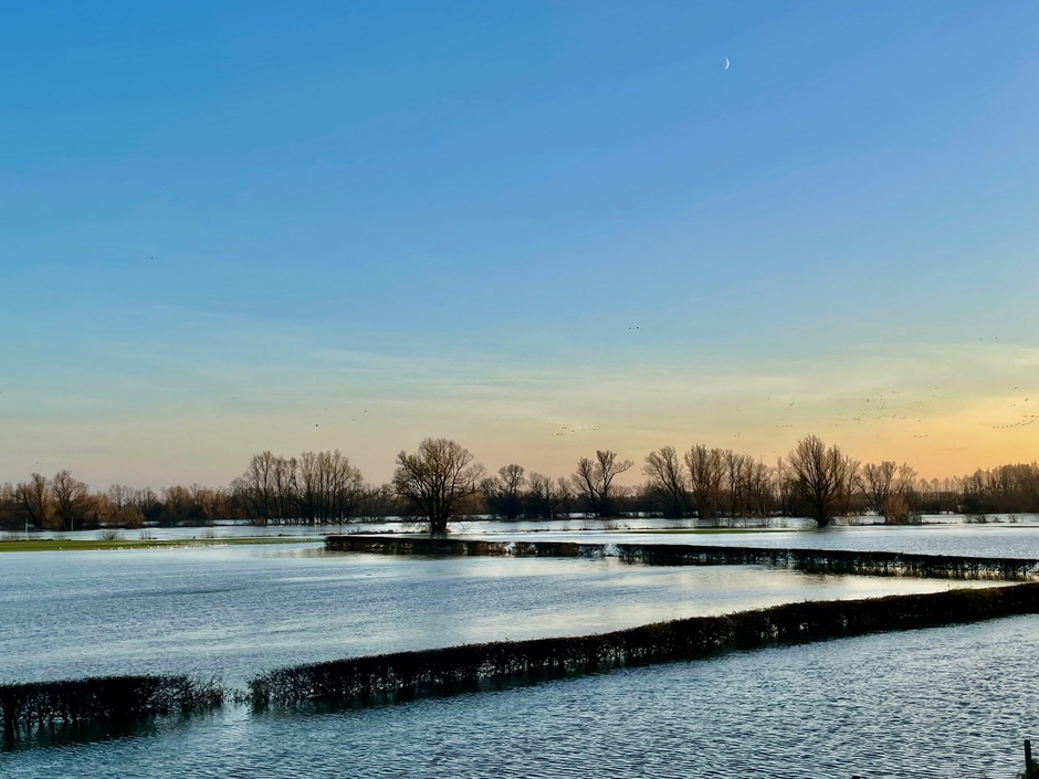 overstroming van de oevers van de IJssel bij Dorp Dieren in Gelderland