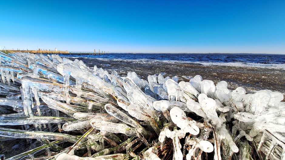Prachtige ijssculpturen langs het Lauwersmeer 