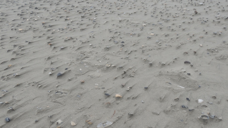 schelpen blijven liggen zand niet bij harde wind