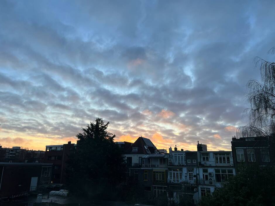 Sunrise in Rotterdam