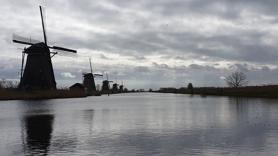 Bewolkte ochtend bij de molens van Kinderdijk